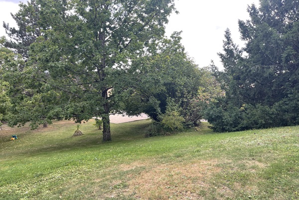 jardin de la maison d'hôtes escale chic a Freneuse